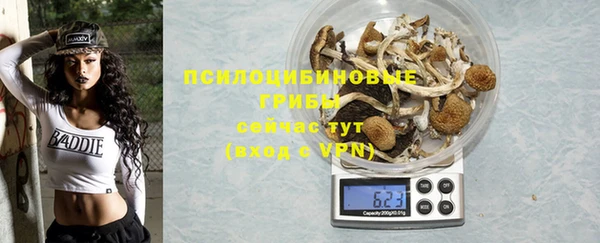 спиды Зеленокумск